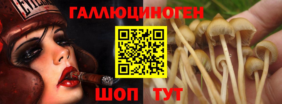 Шали  где купить наркотик  Вход с VPN  Галлюциногенные грибы ЛСД 